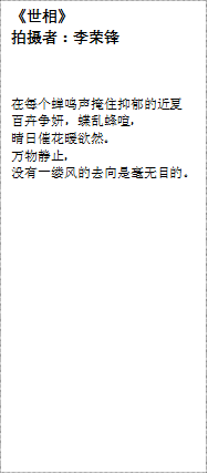 《世相》
拍摄者：李荣锋
在每个蝉鸣声掩住抑郁的近夏
百卉争妍，蝶乱蜂喧，
晴日催花暖欲然。
万物静止，
没有一缕风的去向是毫无目的。
